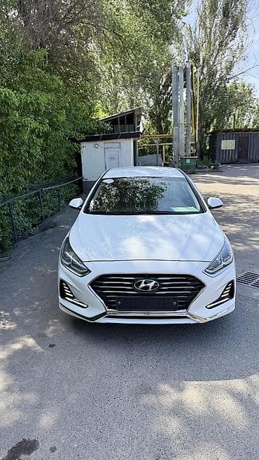 дверь сапог: Hyundai Sonata: 2021 г., 2 л, Автомат, Газ, Седан — 6