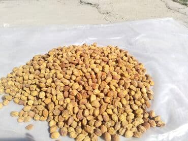 букет из сухофруктов бишкек: 10кг ашык алгандарга жеткирип беребиз Бишкек ичи. при покупке 10 кг — 6