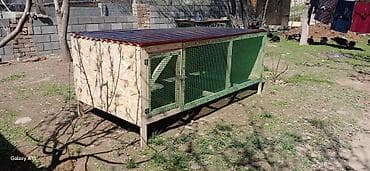 курица для шаурмы: Передвижной уличный мини-курятник/вольер для птицы. Характеристики: - — 2