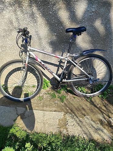 diska 13: Городской велосипед, Lespo, Рама M (156 - 178 см), Б/у — 2