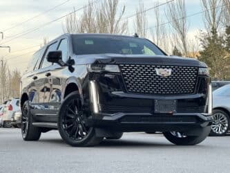 купить диски на х5: Cadillac Escalade: 2021 г., 6.2 л, Автомат, Бензин, Внедорожник — 2