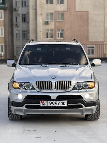 bmw e43: BMW X5: 2004 г., 4.8 л, Автомат, Бензин, Внедорожник — 5
