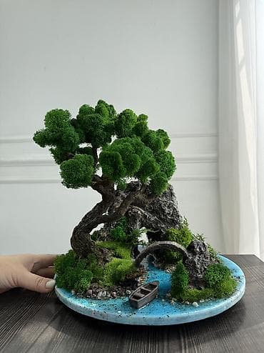 Миниатюрные ДЕРЕВЬЯ Бонсай из стабилизированного мха — это стильная