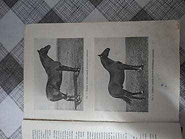 Книги и журналы: Продаю редкую книгу. Тираж-25тыс .экз. Год выпуска 1952. ( Москва ) — 2