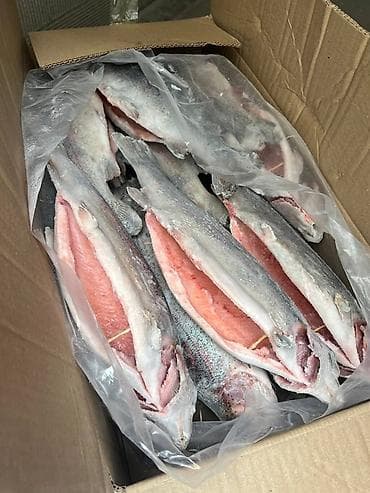 рыбное: Замороженная форель, потрошённая. Характеристики: - Вид: форель — 4