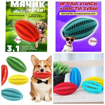 обучение собак: 1 месяц, Самец — 17