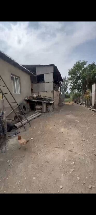 продаю дом дордой 1: Уй сатылат 19,5 сотк Бут бардык шартары менен ысык суу суук суу бар — 3