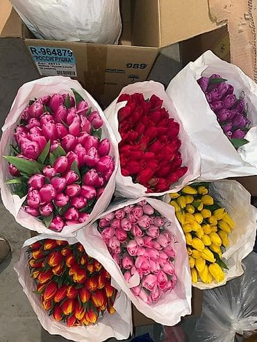 цветы и букеты из шаров: 🌷 Свежие голландские тюльпаны к 8 Марта Крупный бутон, отличная — 2