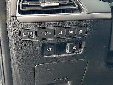 4wd: Hyundai Palisade: 2019 г., 2.2 л, Автомат, Дизель, Кроссовер — 10