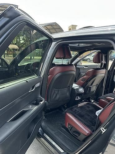 crown 200: Hyundai Palisade: 2019 г., 2.2 л, Автомат, Дизель, Кроссовер — 6