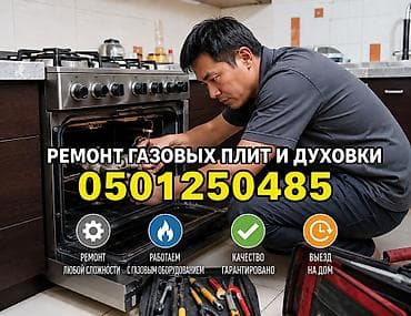 Профессиональный ремонт газовых плит и духовых шкафов. - Диагностика