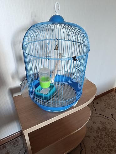 попугай ожереловый: Клетка для птиц, круглая, синего цвета. - Материал: металлические — 1