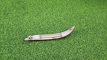 bmw e53: BMW, Б/у, Оригинал — 3