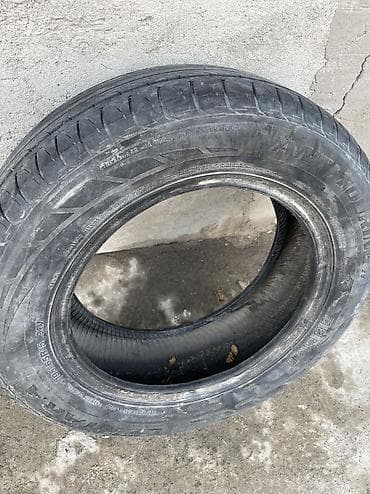 12 шина: 195 65 r15 1000сом — 1