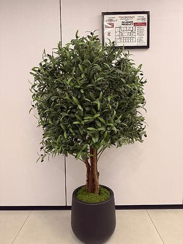 елки оптом: Искусственные растения разных видов\размеров\дизайна. Горшки для — 1