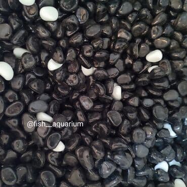 Собаки: Аквариумные пески. Грунты для аквариума. Большой выбор. Качественные — 13