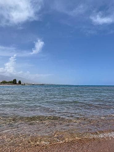 продаю кымыз: СДАЕТСЯ КОТТЕДЖ, в центре отдыха " ПАРИЖ" Иссык куль с Чок Тал, 3 — 10