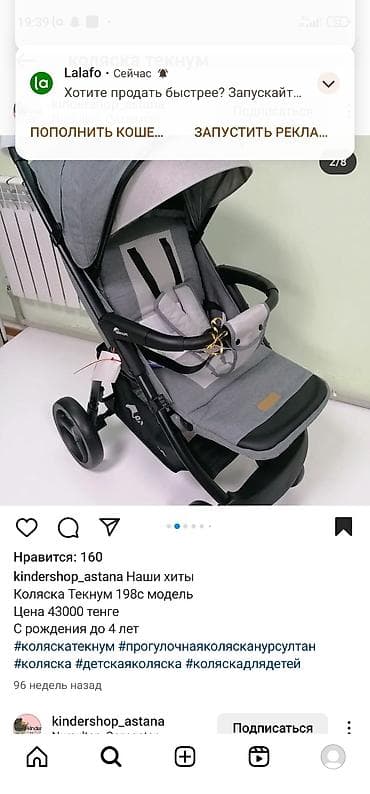универсальную коляску: Коляски — 2