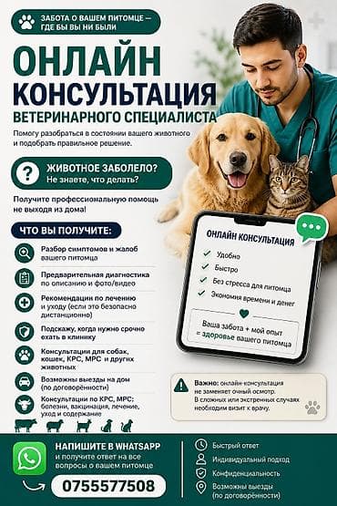 Услуги ветеринара: Онлайн‑консультации ветеринарного специалиста Возможно и выезды — 1