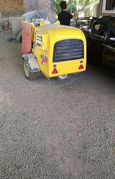 Бөлмө өсүмдүктөрү: Шыбак станциясы — 1