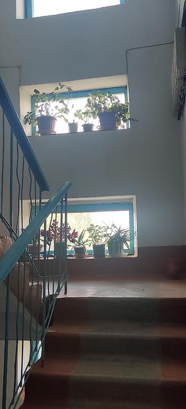 Недвижимость: 2 комнаты, 45 м², 104 серия, 5 этаж, Требуется ремонт — 9