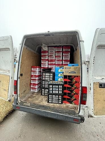 Автоуслуги: Грузоперевозки по городу Бишкек и регионам. Услуги: - Перевозка вещей — 5