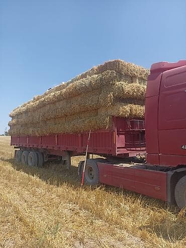 тракторный притсеп: Самосвальный полуприцеп с тягачом Volvo 420 л.с. - Тип: бортовой — 3