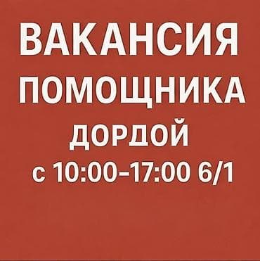 Сетевой маркетинг: Помощник. Дордой рынок / базар — 1