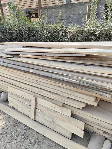 талас алма: ПАВЛОВНИЯ КОЧОТТОРУНУН АКЫРКЫЛАРЫ САТЫЛЫП ЖАТАТ, ШАШЫЛ, УЛГУРОСУН — 10