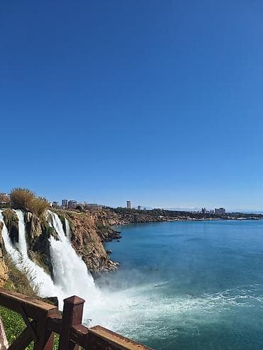 Куплю волнистые попугая.самца
