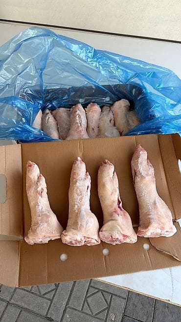 перевозка рыбы: Продажа туш,полтуш, розница ! — 2