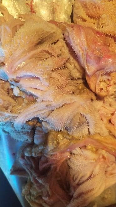 степлер скобы: Требуха для собак, книжки
Карын 


Корм собака кошка щенки — 2