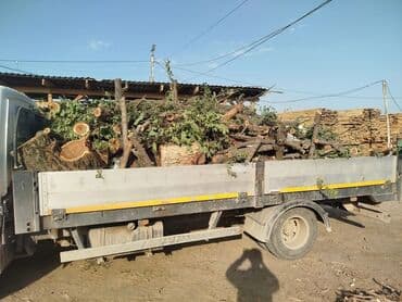 Дрова Тополь