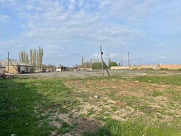 elite residence: 81 соток, Для строительства, Красная книга, Договор купли-продажи — 5
