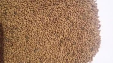 сейф бизнес маркетинг: Семена кормовых растений: Люцерна — 16