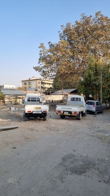 аквариум с рыбками цена бишкек: Заказать Хендай портер, C грузчиком — 8