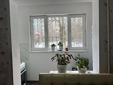 1 комната, 38 м², 106 серия, 1 этаж, Евроремонт — 4