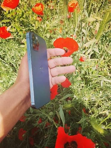 IPhone 12 Pro, Pacific Blue, 83 %