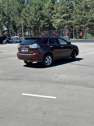 r17 245 45: Lexus RX: 2007 г., 3.3 л, Автомат, Гибрид, Кроссовер — 6
