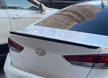 Задний спойлер Hyundai
