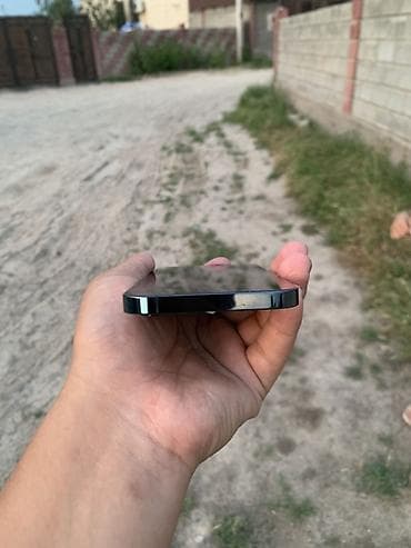 iphone 12 plus: IPhone 12 Pro, Pacific Blue — 4
