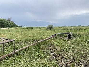 дачный поселок текстильщик: Продается участок для фирменного хозяйства есть два дома для — 3
