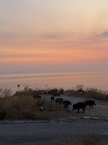 швея уйротом: Языковые курсы Турецкий — 5