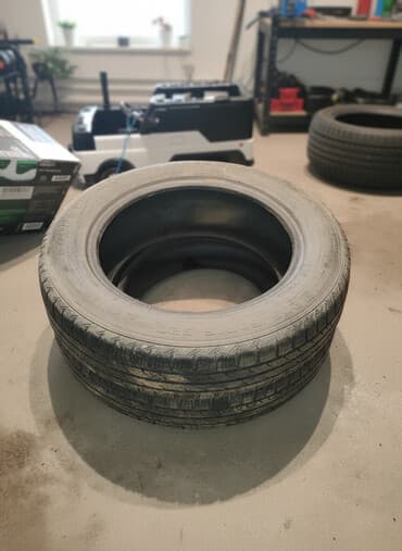 балон на фит: Шины 205 / 60 / R 16, Зима, Пара, Легковые, GoodYear — 1