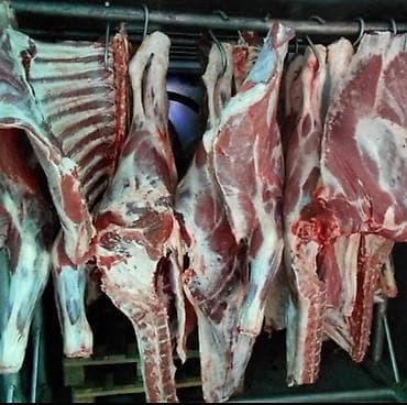 Мясные полутуши говядины и баранины - Целые полутуши на подвесах at lalafo.kg Мясные полутуши говядины и баранины - Целые полутуши на подвесах