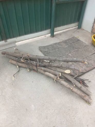 лес на дрова: Дрова Самовывоз — 6