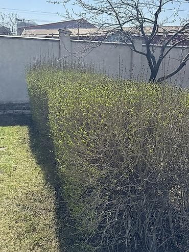 Уголь: Декор для дома и сада, Декоративный забор, Самовывоз — 2