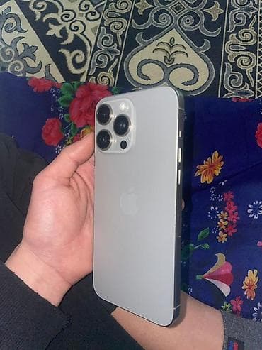 ethernet кабель бишкек: IPhone 15 Pro Max, Колдонулган, 256 ГБ, Күмүш, Куту, 85 % — 3