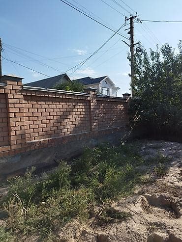Жер тилкелери: 5 соток, Кызыл китеп — 3