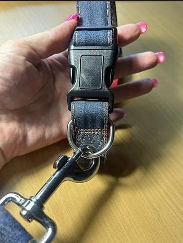 ошейник с грузом: Ошейник + поводок комплект под джинсу для крупных собак. Ширина 3 см — 4